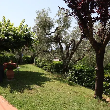 Acquaria-vinci Guest house